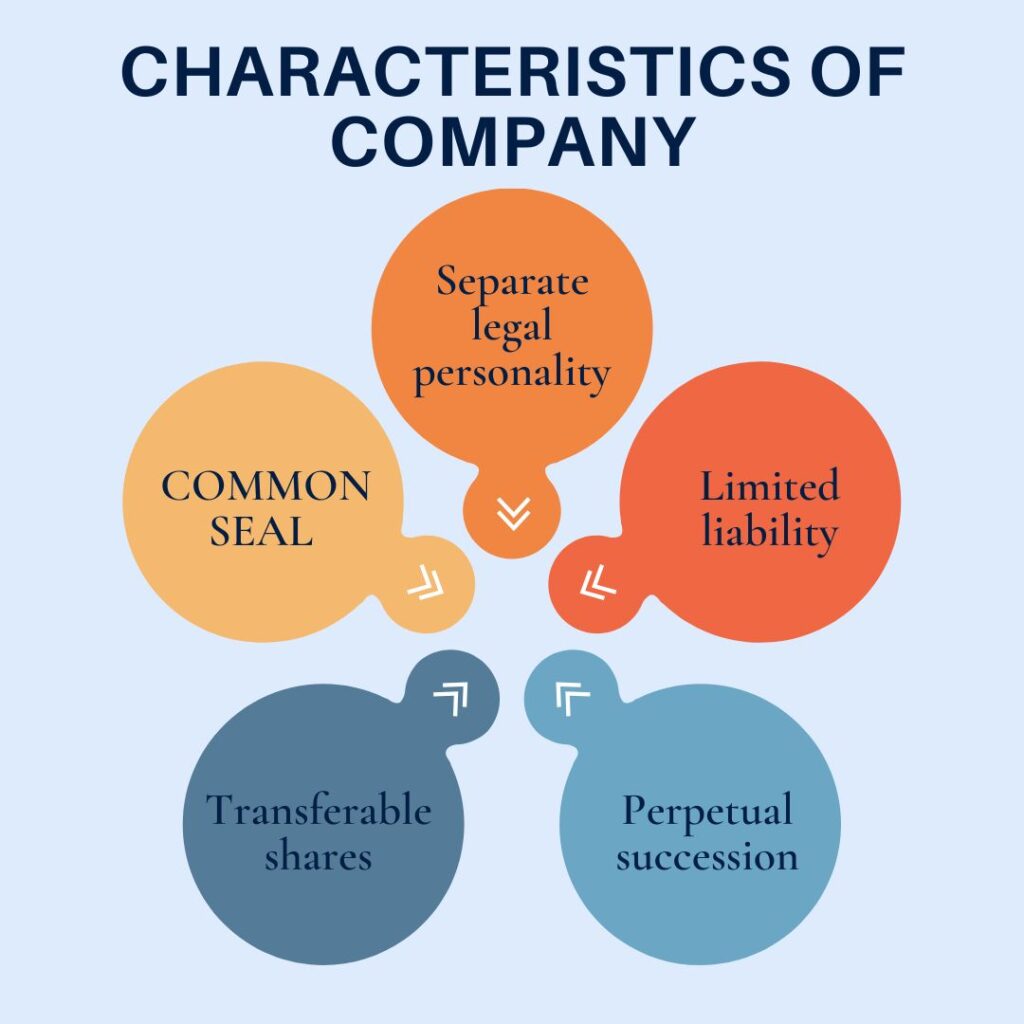characteristics of company
