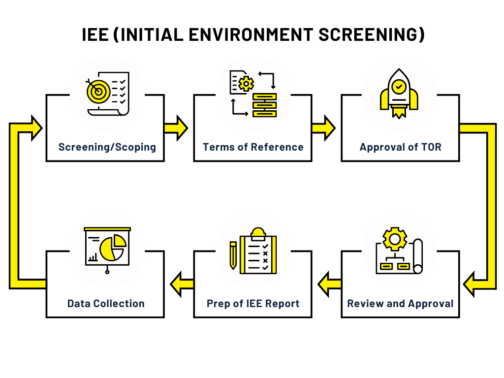 IEE Process in Nepal